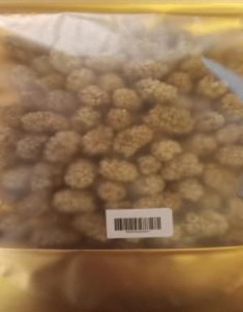 Aria World Mulberry